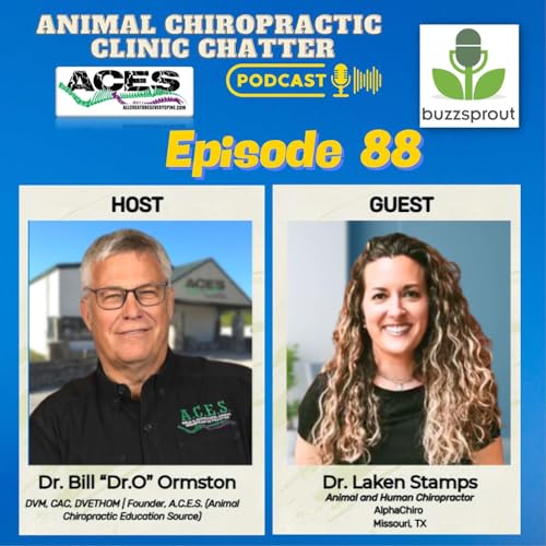 🐾 Animal Chiropractic Clinic Chatter | Interview with Dr. Laken Stamps - Episode 88 🎙️