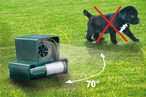 Royal Gardineer Katzenwarner: Hunde-, Katzen- und Vogelschreck TS-712 - das Original (Hunde Schrecker, Katzenschreck, Maus)