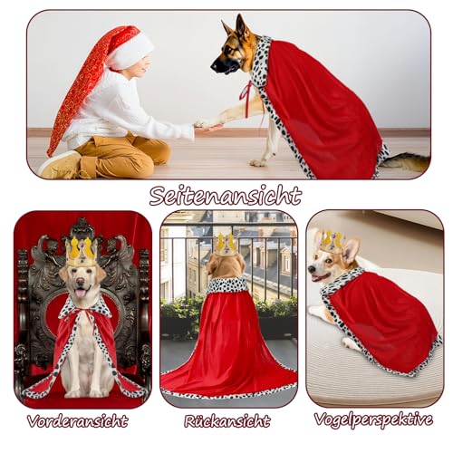 RANYPET Hund König Umhang und Krone, Halloween Haustier Kostüm für Große und Mittlere Hunde, Hundekostüm Hunde König Prinz Kostüm Königin Cosplay für Halloween Party Dressing up Foto(XL)