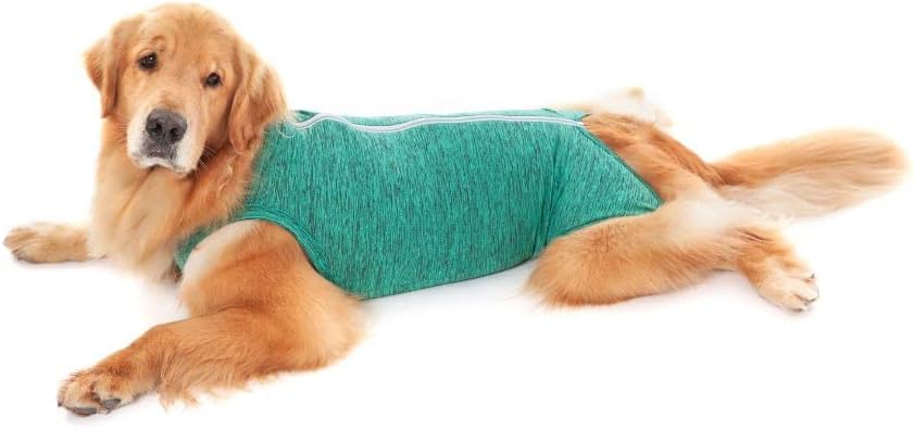 Post-Surgical Regular Bodysuit T10 Green 1UD PETMED