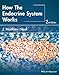 How the Endocrine System Works (The How it Works Series)