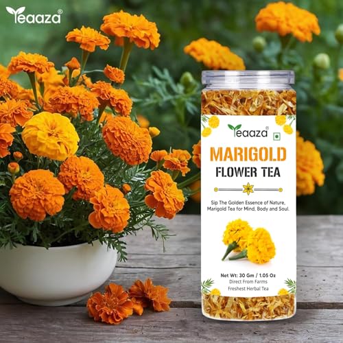 Image of TEAAZA Marigold Flower Tea|Natural Sun Dried Marigold Flower|RELIEVES PAIN|Caffeine Free - Flower Based - Herbal Tea - Gluten Free - Non - Bitter|Marigold Tea Leaves-30 Grams,60 Cups|Reusable Pet Jar