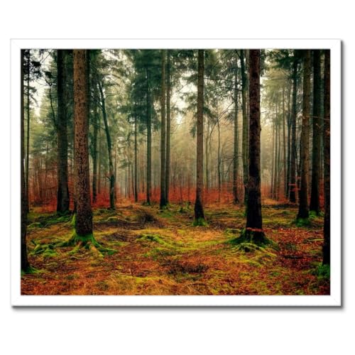Paysage de forêt pour poster encadré 50x40 cm de salon H3407M