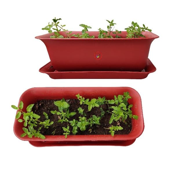 Image of Window Rectangular Plastic Flower Pots with Bottom Tray, Red, 20 Inch, 4 Pieces (1 Small Pot Free) Make Garden, Vegetables, Indoor /Outdoor Pots Lightweight, Uv Resistant, Durable