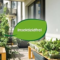 PROTECT HOME Wespennest Kleber zur Bekämpfung frei zugänglicher Wespennester mit sofortigem Wirkungseintritt und nachhaltiger Wirkung ohne schädliche Insektengifte, 500 ml Dose mit Powerdüse – Ansicht 7