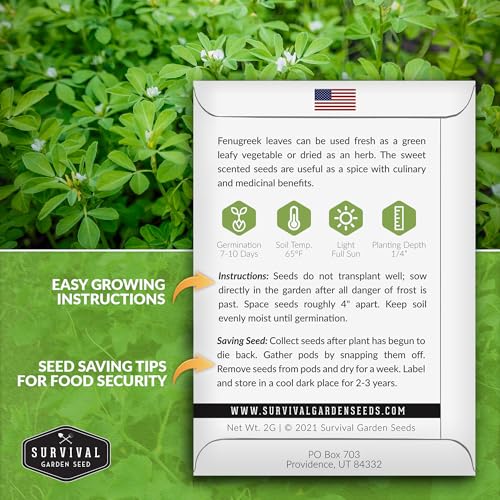 1 Pack Fenugreek Seed for Planting with Instructions to Grow Samudra Methi in Your Home Vegetable Garden - Non-GMO Heirloom - Good Microgreens or Sprouts - Survival Garden Seeds - Image 2