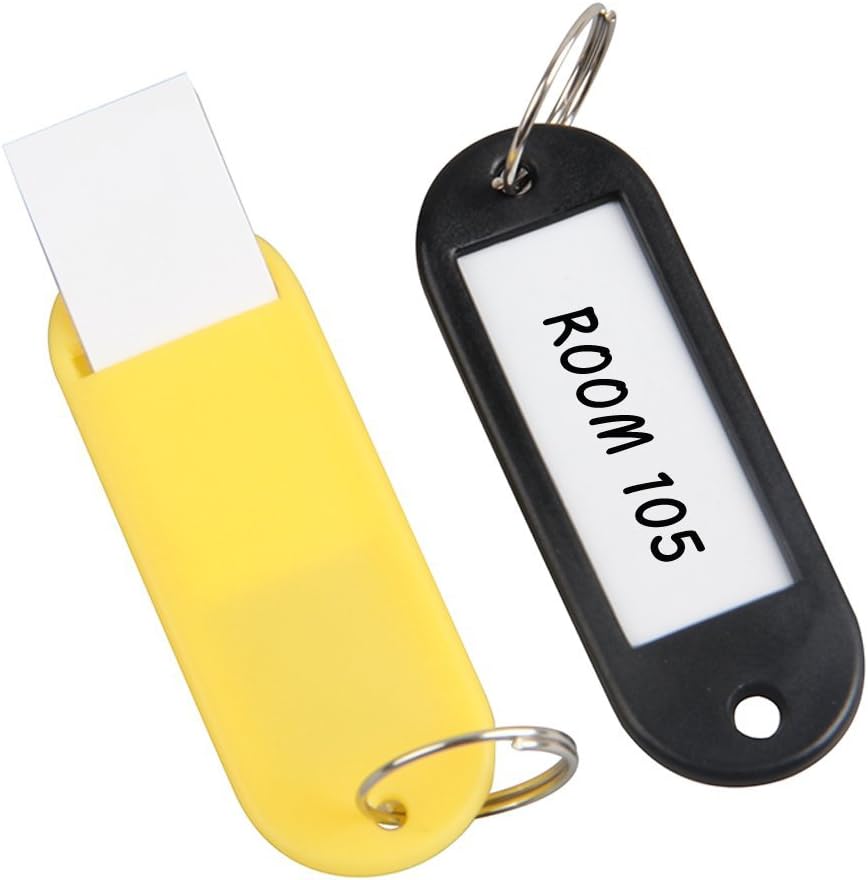200 PCS Id Labels Tags with Split Ring Plastic Key Tags with Label Window(10 Colors) (200 PCS)