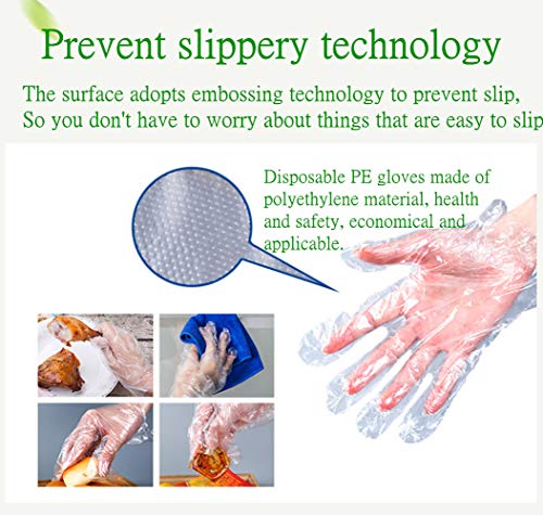 Hnrloy Disposable Plastic Gloves 500 Pcs, Kitchen Food Grade Gloves,Polyethylene Clear Work Gloves For Cooking,Cleaning,Food Handling,Hair Coloring [One Size Fits Most ] #TOP4