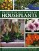 Illustrated A-Z Guide To Houseplants: Everything You Need To Know To Identify, Choose And Care For 350 Of The Most Popular Houseplants