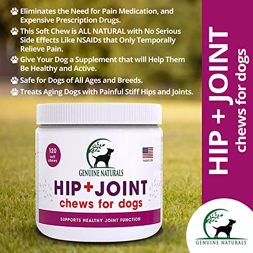 Genuine Naturals™ Hip And Joint Supplement For Dogs - Glucosamine Chondroitin, Msm, Organic Turmeric Soft Chews, Dog Vitamins, Supports Healthy Joint Function And Helps With Pain Relief,120 Count #TOP1