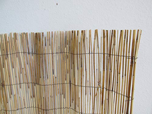 Mgp Natural Reed Fence, 4'H X 14'L #TOP1