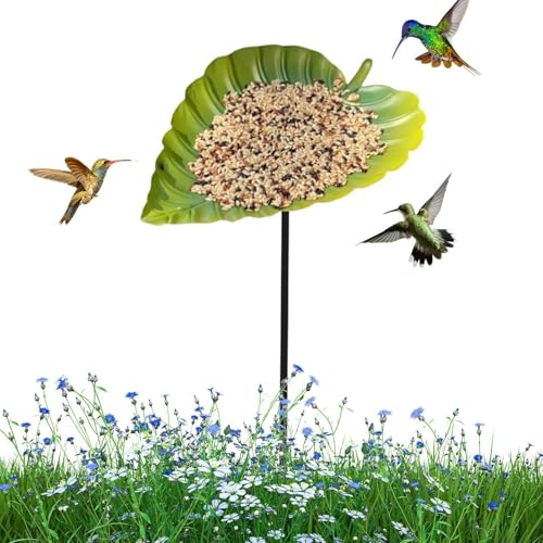Baño para aves de exterior y bebedero de jardín trasero o césped con hoja 2