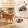 2PCS Raised Cat Bowls, Stainless Steel Elevated Cat Food Bowls, Whisker Friendly, Dishwasher Safe, Kitten Bowls for Wet & Dry Food - 5