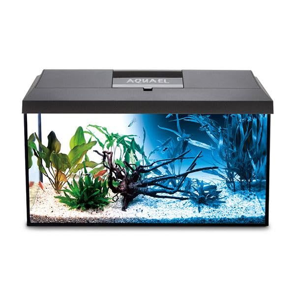 Aquarium Leddy 60 schwarz D & N 2.0 ausgestattet 60 x 30 x 30 cm 54 l