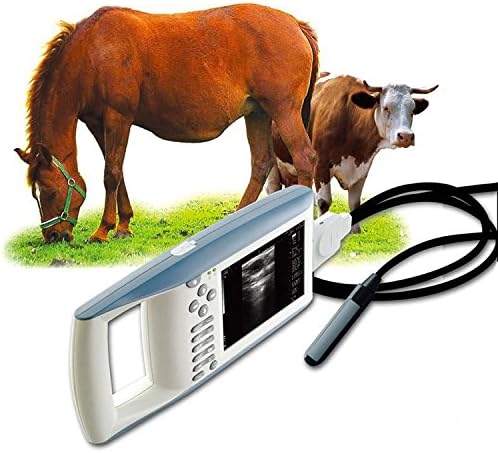 Veterinary Farm Animals Handheld Palm Ultrasound Scanner Machine