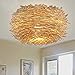 Produktbild BLYC- Innovative US-amerikanischer Country Schlafzimmer Decke Lampe Rattan Vogels Nest Esszimmer Dach Lampe auf Beleuchtung 350mm