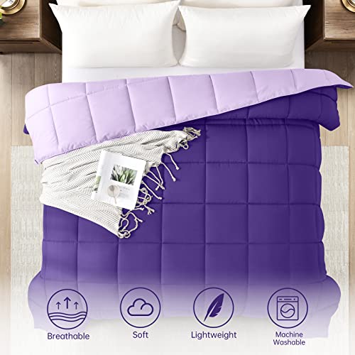Image of Homelike Moment King Lightweight Comforter Purple - All Season Down Alternative Bed Comforter Summer Duvet Insert Quilted Reversible Comforters King Size Plum / Light Purple