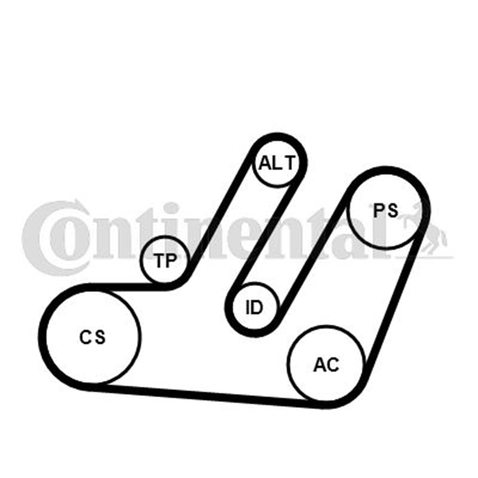 CONTITECH Kit Cinghie Poly-V 6PK1580K1 con rullo tenditore con galoppino Compatibilità con AUDI Q5 8RB A4 Avant 8K5, B8 A4 Sedan 8K2, B8 A5 Coupe 8T3 A5 Sportback 8TA A6 Avant 4F5, C6