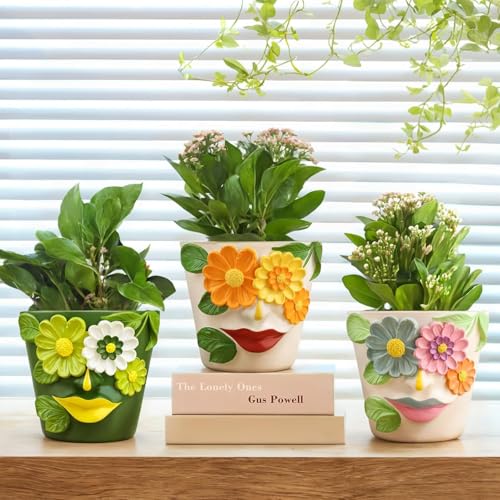 AmiCera Abstract Face Flower Pots, Colourful Plant Pot for Indoor Plants Small Cute Head Planters with Drainage - Image 4