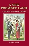 A New Promised Land: A History of Jews in America (Religion in American Life)