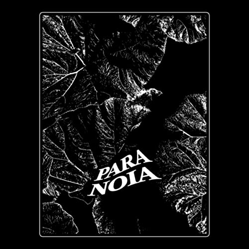 Paranoia [Explicit]