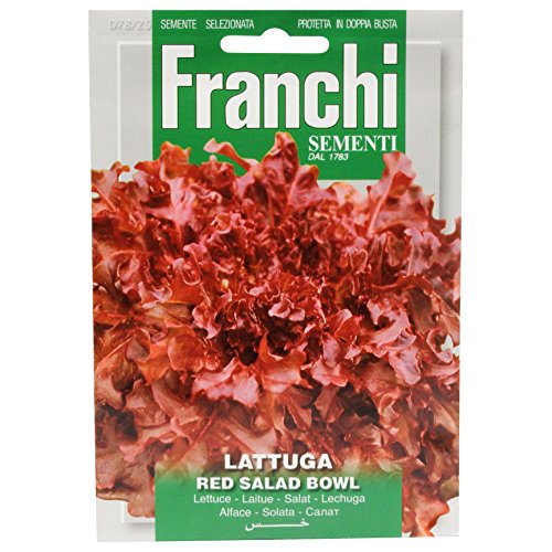 Lattuga Red Salad Bowl