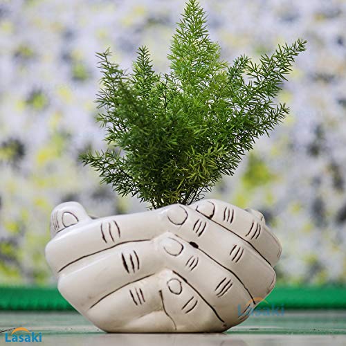 Image of Lasaki Hand Ceramic Pots for Indoor Plants,Planters,Flower pots,gamla for Indoor,Outdoor,Balcony,Home,Garden,Office Decor,Pot,Succulent Pot(Ivory)(L:18 cm, W:16 cm, H:9 cm)(Plants not Included)