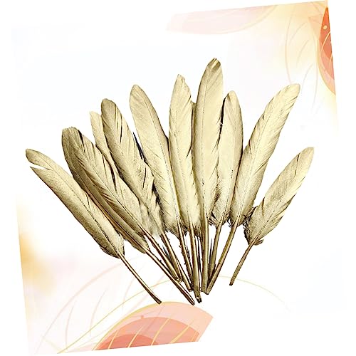 Plumas hermosas para decorar jarrones y arreglos florales 7