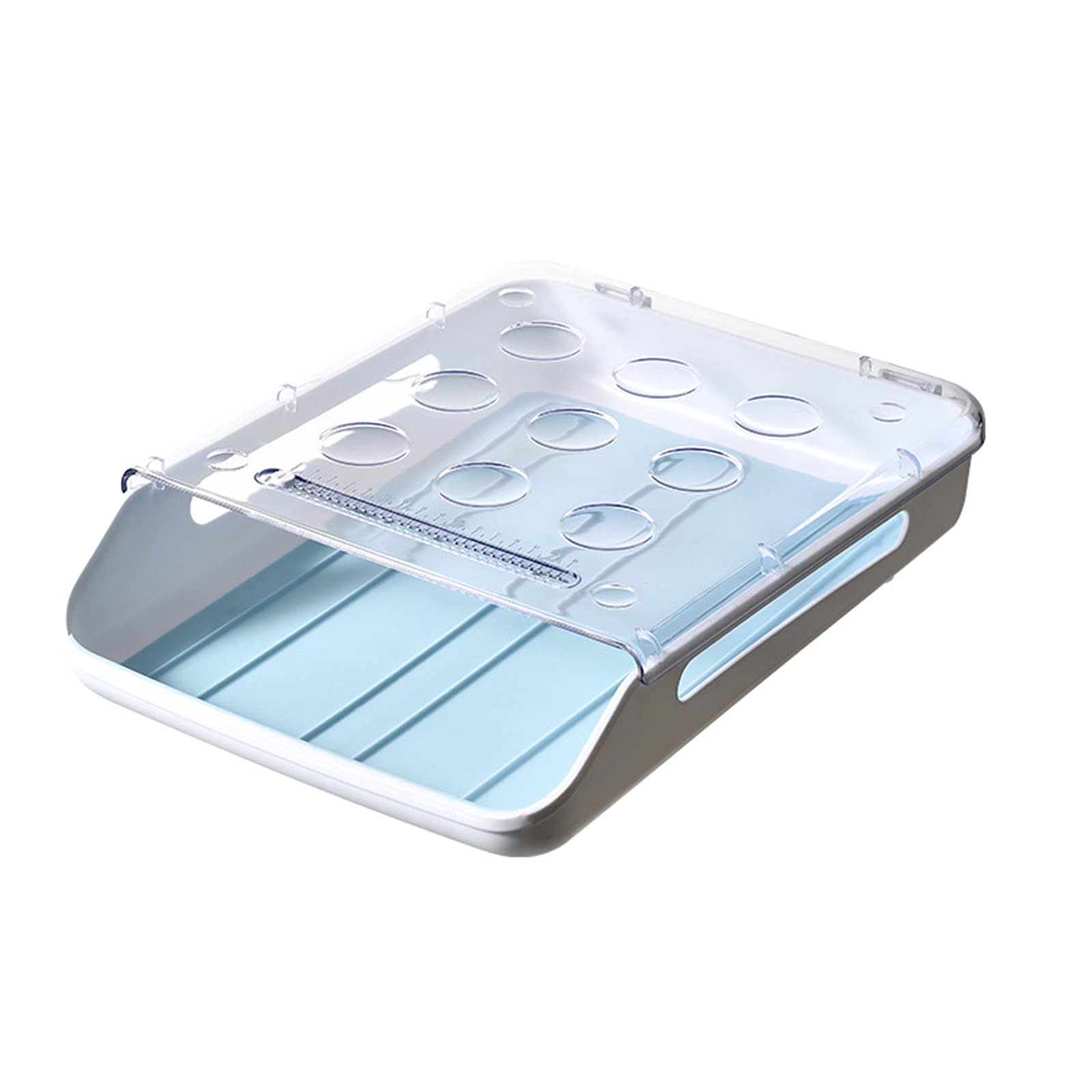 Boîte de rangement automatique pour œufs de réfrigérateur bleue