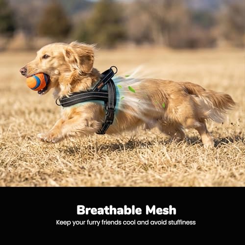 Image of Didog No Pull Dog Harness for Small Dogs, Breathable Mesh Padded, Black, XS | Quick Fit, Easy On and Off, Lightweight, Reflective Vest Harness for Night Safty, Easy for Walking and Training, Chest 15-18 inch