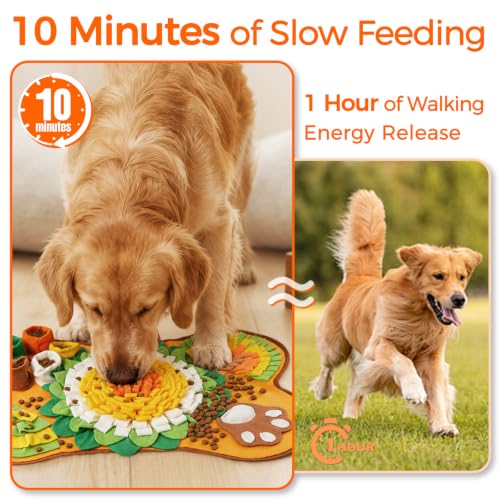 17"" x 25"" Snuffle Mat for Dogs - image 5