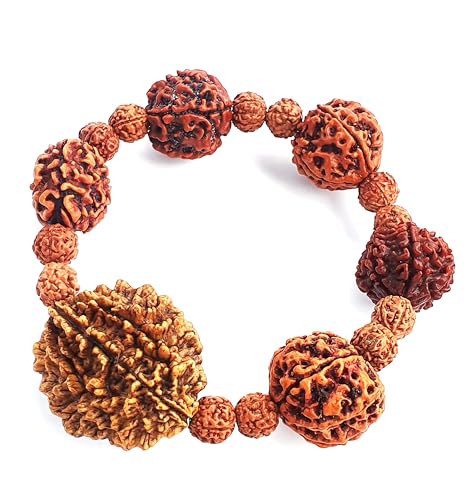 EDMIRIA Rudraksha Bracelet For Men & Womens 2 Face , 3 Mukhi , 4 Mukhi , 5 Face , 6 Mukhi , 7 Mukhi Stretchable Himalayan Rudraksha Beads Wrist Band for Yoga, Meditation Healing (Compy fit for wrists up to 7-7.75 inch)