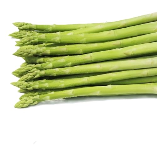 (先行受付)2026年産 アスパラガス 1kg L〜2Lサイズ 京都府久御山町産 朝採り