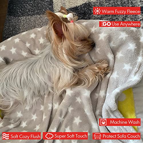 Leerking Dog Blanket Washable 2 Pack Soft Fleece Puppy Cats Kitten Pet Throw Flannel Blankets For Bed Mattress Couch Sofa Chair Crate,30" X 40" #TOP3