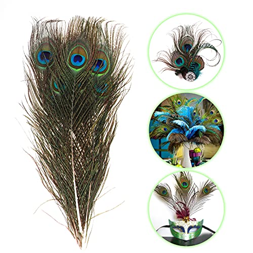MWOOT 50Pcs Peacock Feathers, Green Peacock Eye Feathers for DIY Crafts Art, Peacock Tail Feathers for Carnival Revelry Masquerade Costume Wedding Holiday Party Decoration (28-32CM)