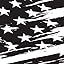 USA B&W ART FLAG