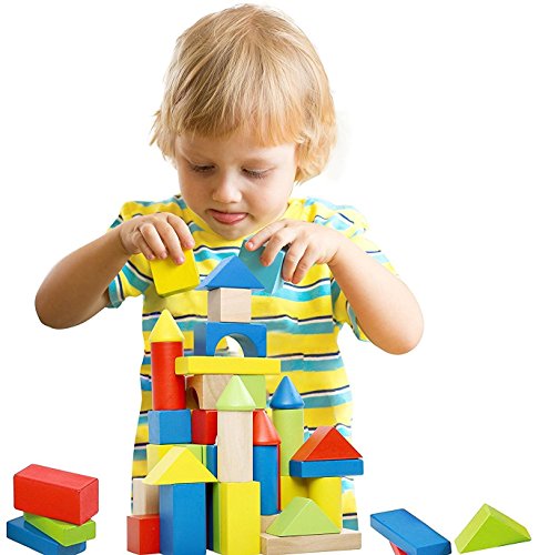 Deluxe 50 Piece Hand-Crafted Wooden Building Blocks Set with Carrying Container - Hardwood Plain & Colored Wood Playing Toy Blocks for Boys & Girls - Durable Stacking Blocks for Toddlers Preschool age - Thumbnail 2