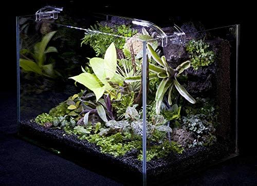 Amazon Paludart パルダート 観賞用パルダリウム P 45 水槽 45cm 観葉植物 オンライン通販 Amazon Paludart パルダート 観賞用パルダリウム P 45 水槽 45cm 観葉植物 オンライン通販