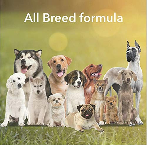 Image of Mutton-Flavored Rawhide Spiral Munchy Sticks - 1 Kg Pack for All Breed Sizes | Deliciously Savory Treats for Extended Chewing and Enhanced Dental Health