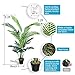 Aveyas 5ft Artificial Palm Tree for Home Decor, 5 Feet Faux Plant Fake Silk Tropical Kentia Areca Trees with Pot for Indoor Outdoor House Living Room Office Garden (5 ft Tall)