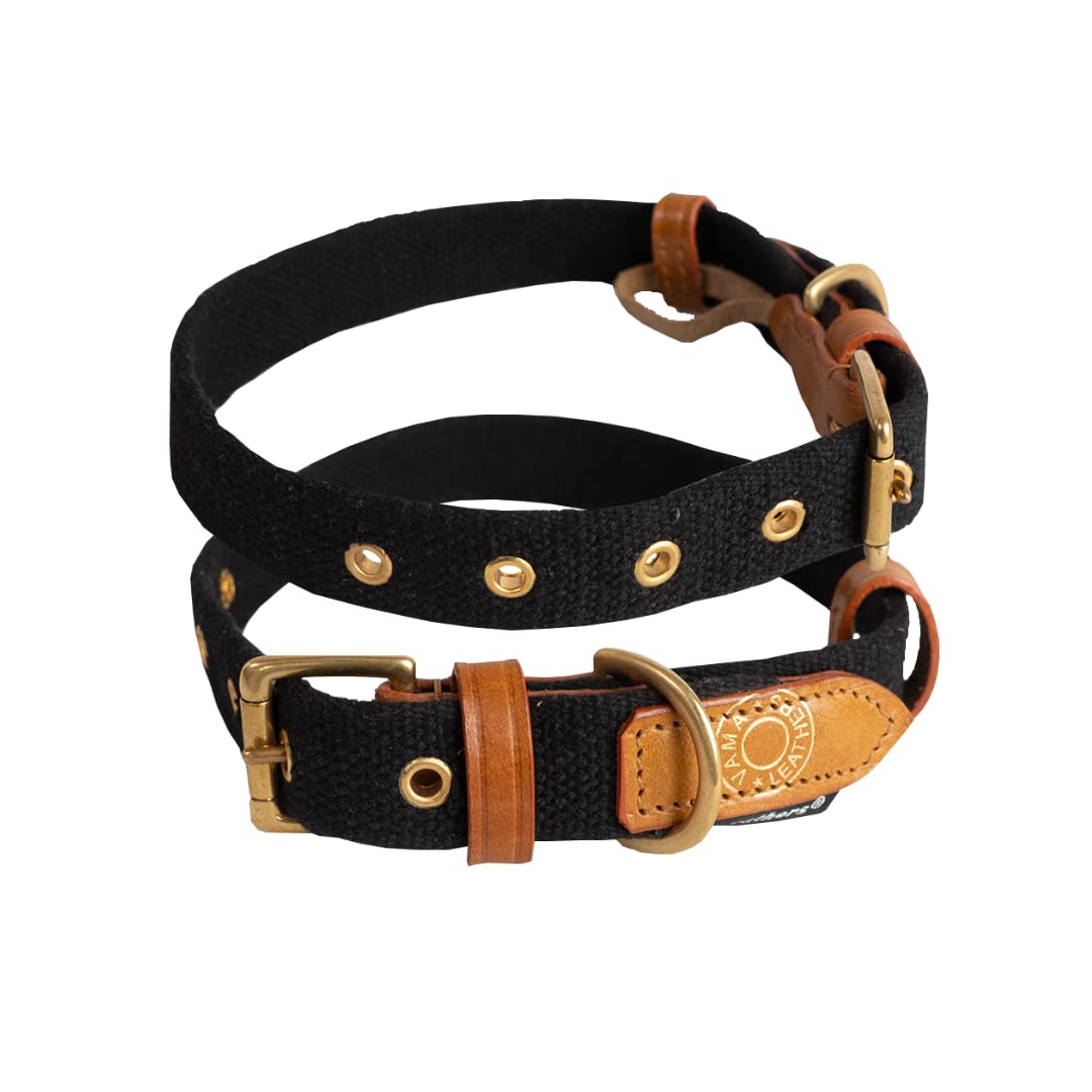 See full amazon price history chart for Vama AIR Collar Sustainable & EcoFriendly Thick 100% Cotton Solid Brass Buckle Super Durable Collar for Medium Dogs Fits Neck Sizes 16-21 Inch, Width 1 Inch Handmade Enigma Black Vama AIR Collar Sustainable & EcoFriendly Thick 100% Cotton Solid Brass Buckle Super Durable Collar for Medium Dogs Fits Neck Sizes 16-21 Inch, Width 1 Inch Handmade Enigma Black (B0BFJ3G756) Amazon Price History, Amazon Price Tracker