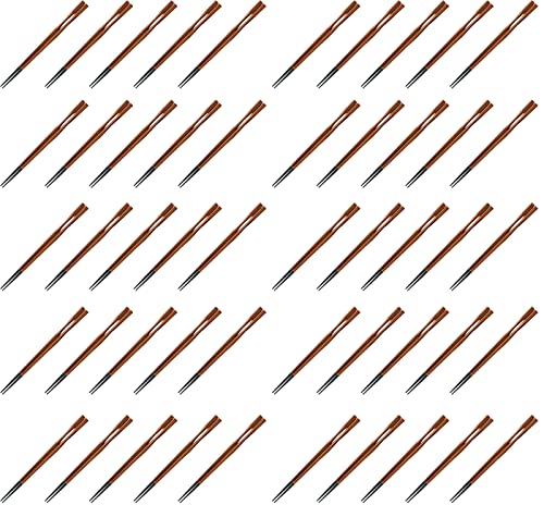 yAmazon.co.jpzyƖp ZbgzNtg  PBTh { H@Ή n^v tc 2h 19.0cm { (50V)