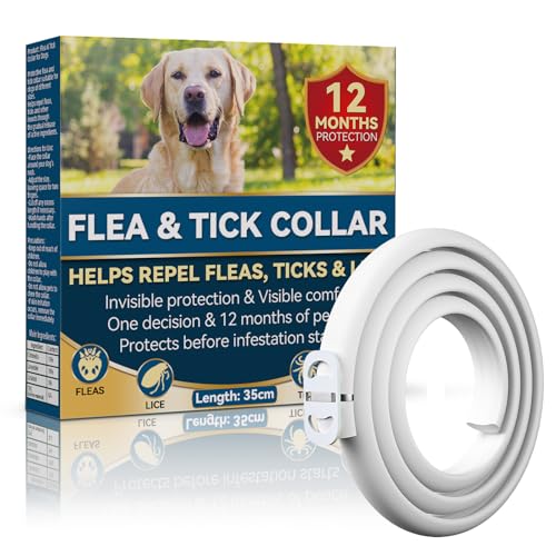 Halldeli Collare Antiparassitario per Cani 65 cm – Per Cani di Tutte le Taglie – Protezione Naturale contro Pulci, Zecche e Insetti – Impermeabile, Regolabile – Protezione Fino a 12 Mesi