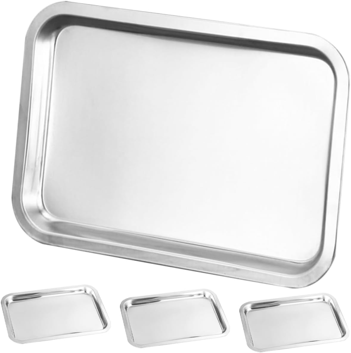 4Pcs Stainless Steel Plates Medium Metal Dinnerware for and Food Trays for Self Feeding Camping Outdoor Use