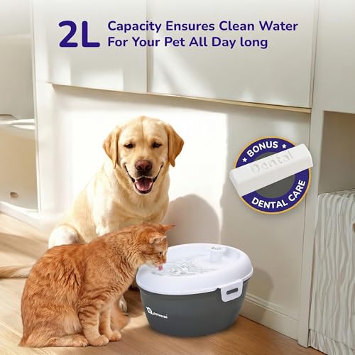 Image of Petverse Oral Care Pet Water Fountain 2L for Cats and Dogs, Electric Powered Water Dispenser, Cotton Filter System, Dishwasher Safe Design, Pet Hydration Fountain