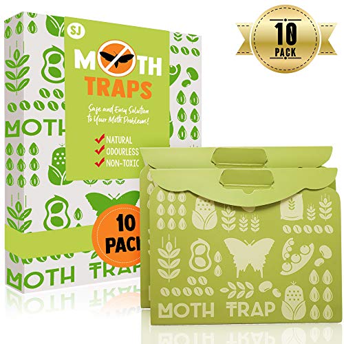 Top 10 Pantry Moth Traps Of 2020 Best Reviews Guide