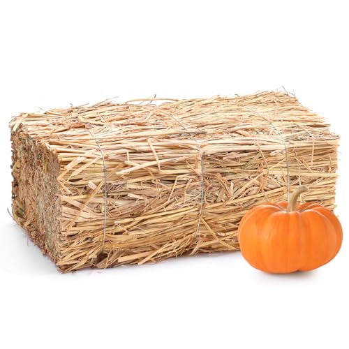 Decorative Hay Bale-16×8