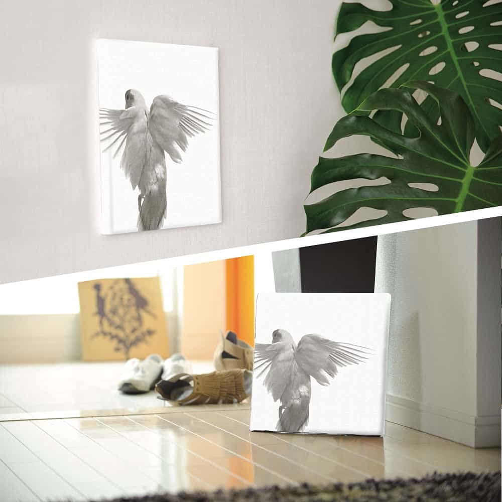 【新着商品】インコ 鳥 アートパネル 57cm × 57cm Lサイズ 日本製 Amazon.co.jp: 鳥 インコ アートパネル 57cm × 57cm Lサイズ 日本製