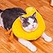 ouquckl Cat Collar, Pet Elizabethan Collar Dog for Cat Protective Cone After Adjustable Collar Bit