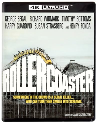 Rollercoaster - 4K UHD image 3